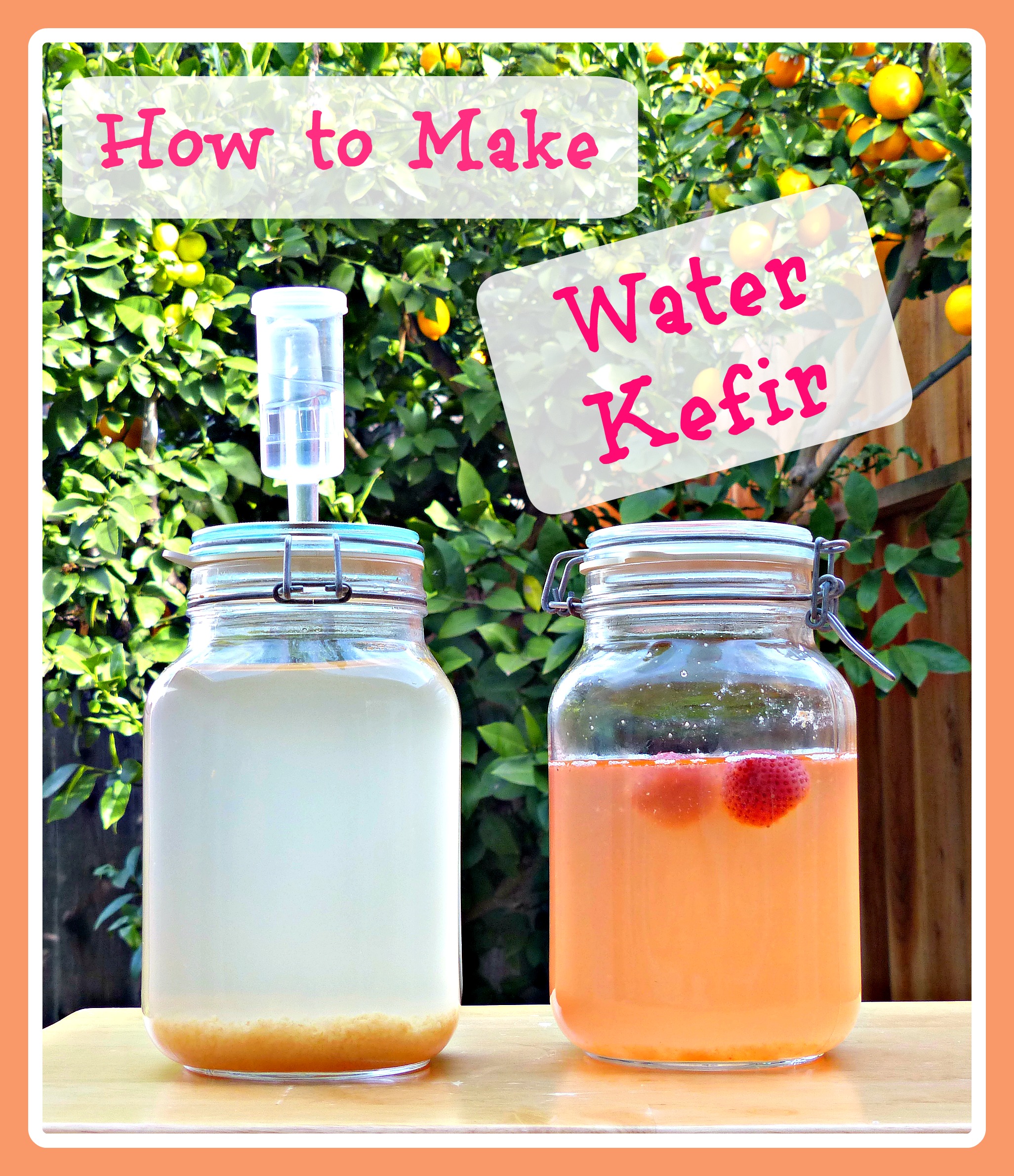 WATER KÉFIR of FLAVORS, 2 Easy Recipes