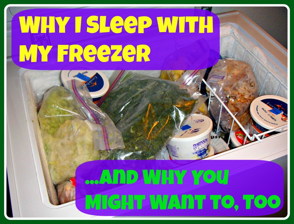 Why I Sleep with My Freezer