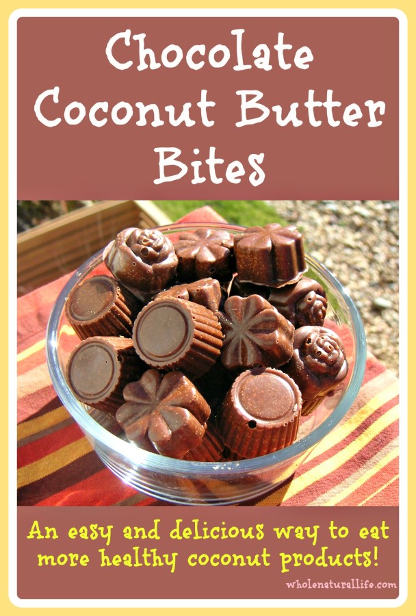 Chocolate Coconut Butter Bites: An Easy and Delicious Way to Eat More Healthy Coconut Products!