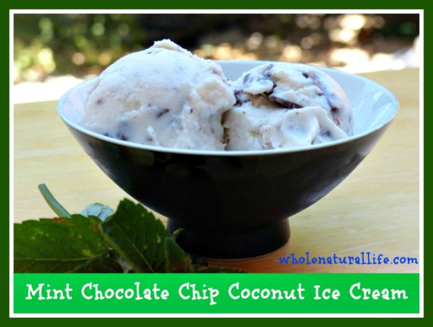 This mint chocolate chip ice cream is dairy-free, honey-sweetened, and suitable for the GAPS and Paleo diets. Make this easy coconut ice cream today! 