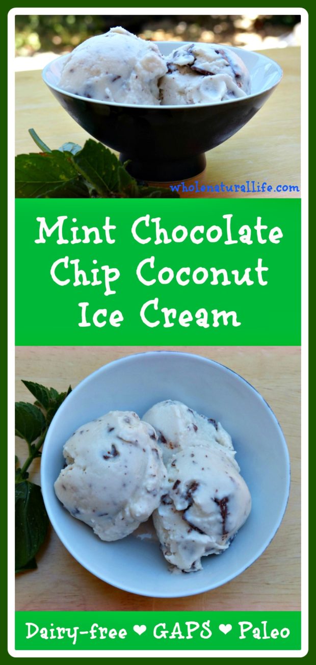 This mint chocolate chip ice cream is dairy-free, honey-sweetened, and suitable for the GAPS and Paleo diets. Make this easy coconut ice cream today! 