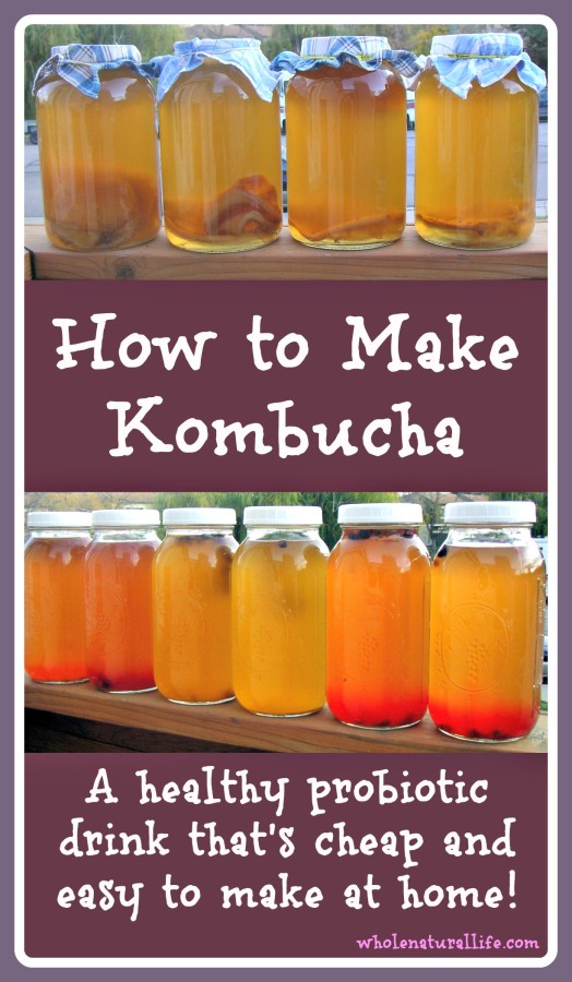 How to Make Kombucha: A healthy probiotic beverage that's cheap and easy to make at home! 