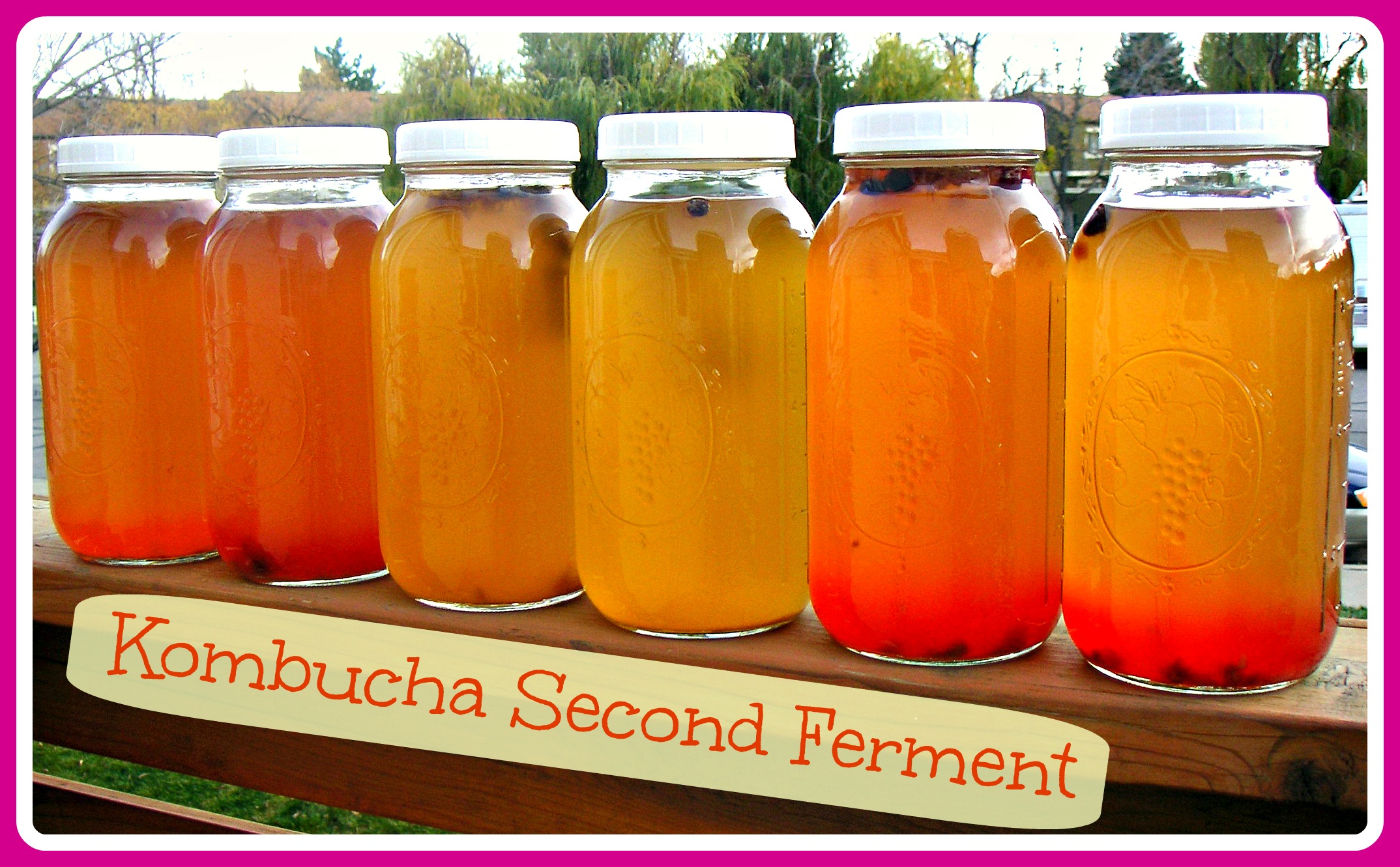 How to make Kombucha — GET LOOSE