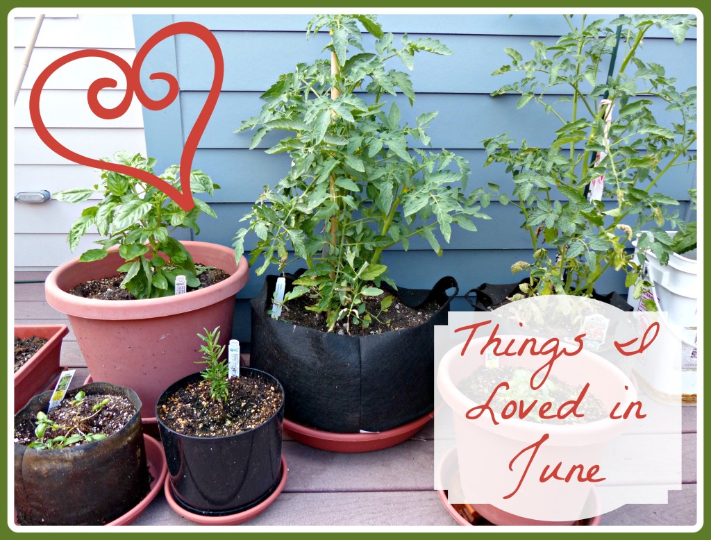 Things I Loved in June