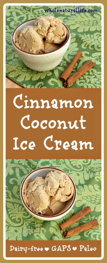 Cinnamon Coconut Ice Cream: Dairy-free, GAPS, Paleo