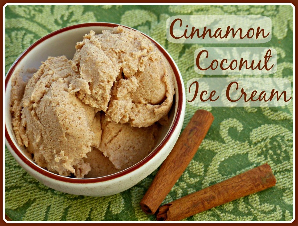 Cinnamon Coconut Ice Cream