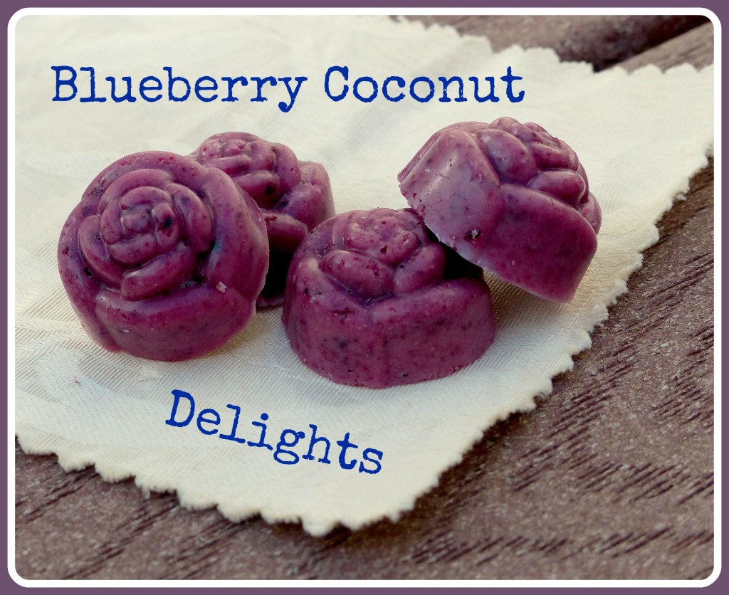 Blueberry Coconut Delights