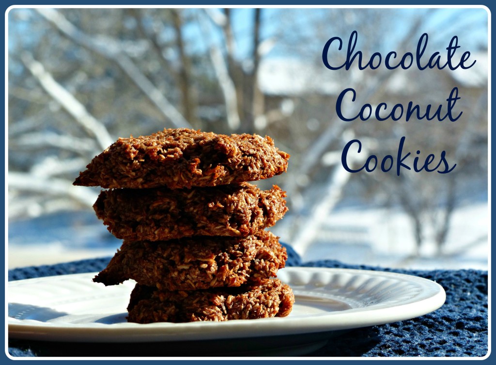 Chocolate Coconut Cookies