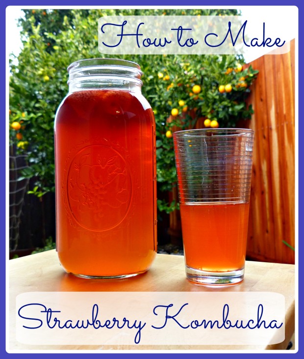 Strawberry Kombucha: A Delicious Probiotic Beverage! 