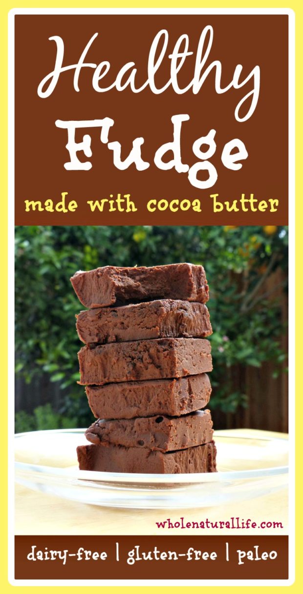 You need to try this healthy fudge recipe! It's dairy-free, honey-sweetened, and made with cocoa butter.  Plus it's super simple to make! 