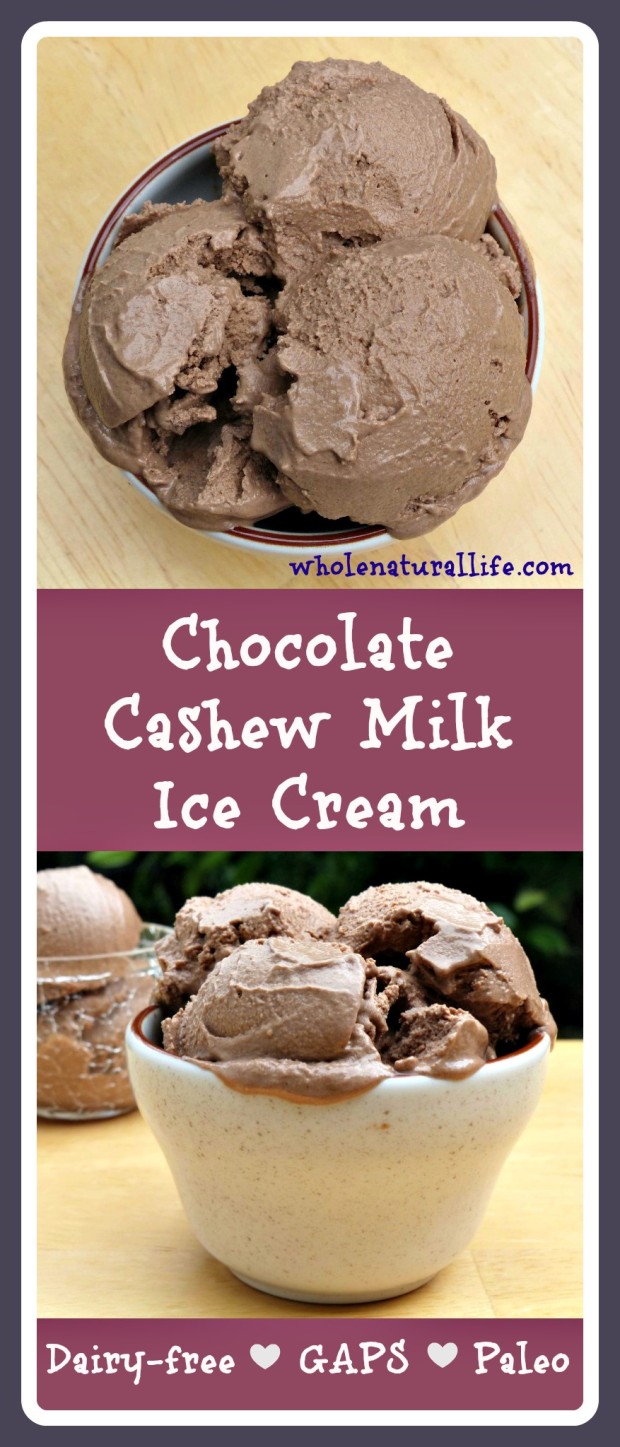 Chocolate Cashew Milk Ice Cream: Dairy-free, GAPS and Paleo-approved! 