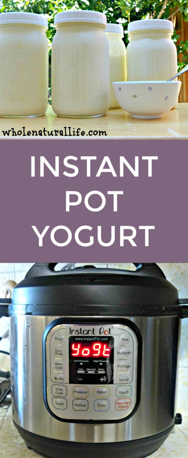 Instant Pot Yogurt Recipe, Step by Step