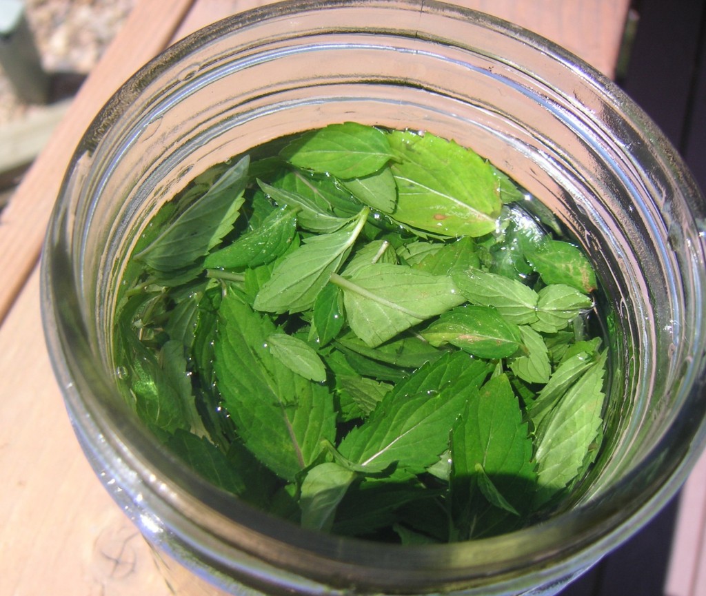 homemade peppermint extract