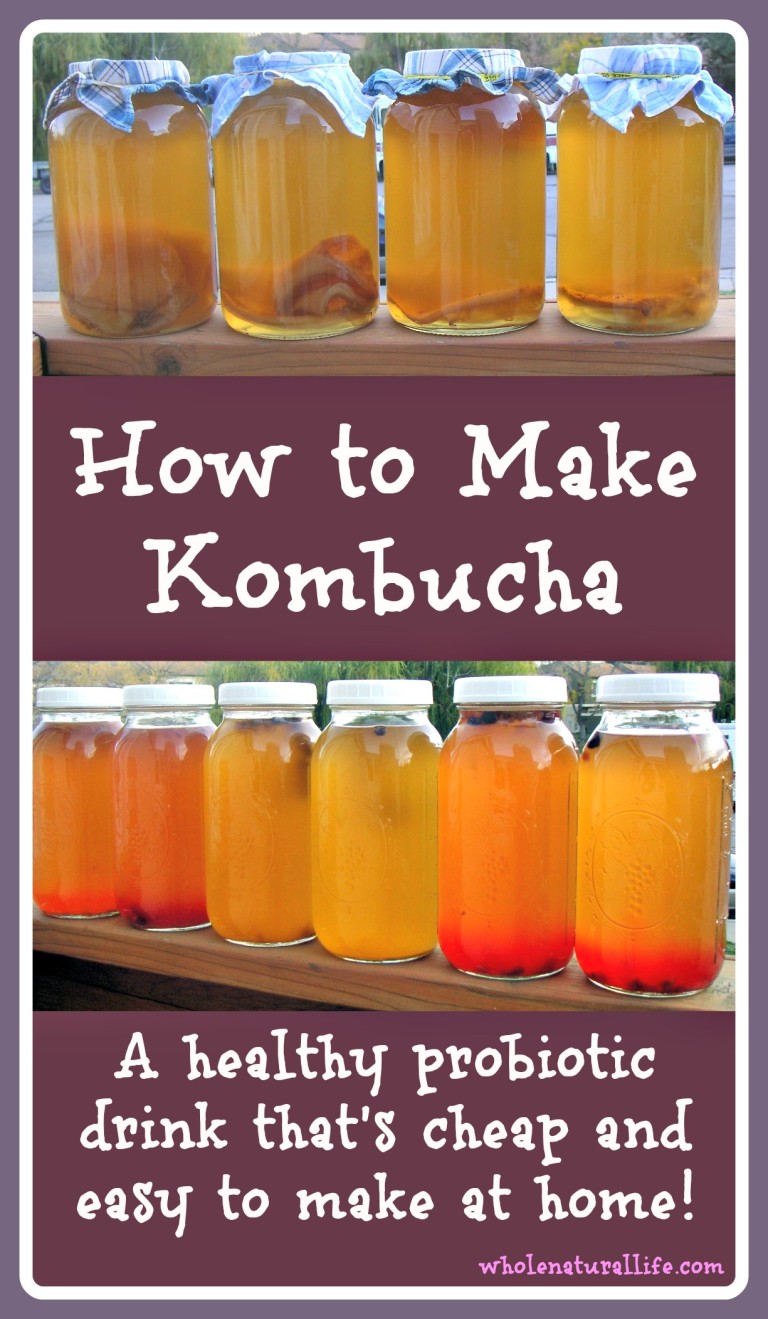 How to Make Kombucha Whole Natural Life