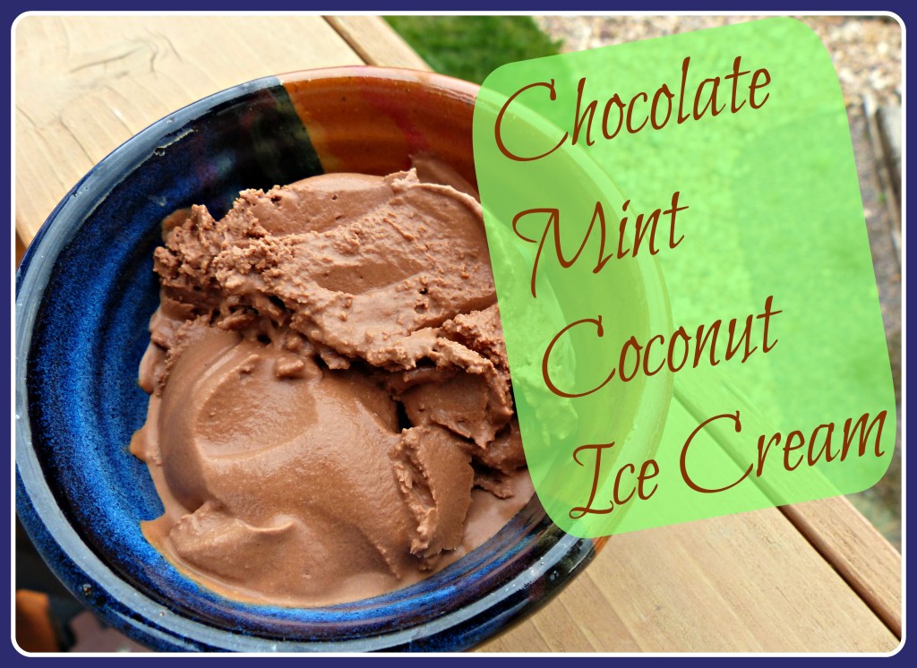 Coconut Ice Cream Recipe Roundup 20 Recipes for NaturallySweetened