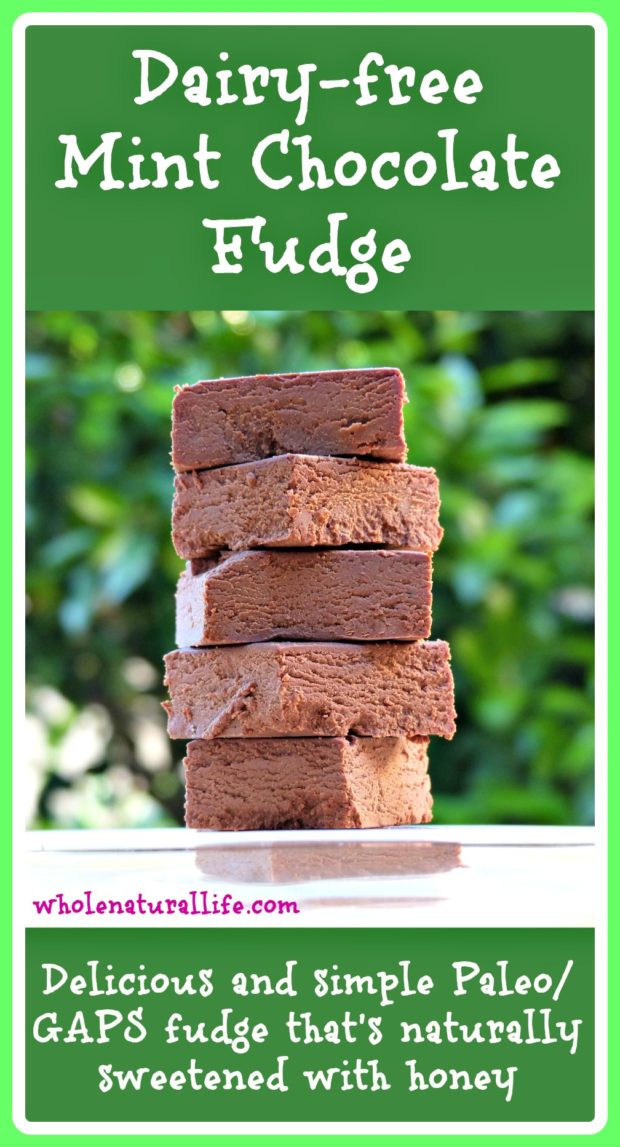 This dairy-free mint chocolate fudge is easy to make and utterly delicious. It's Paleo and GAPS-friendly and is naturally sweetened with honey. Make this healthy fudge today!