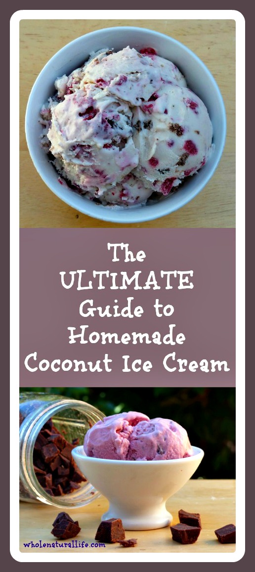 How to Make Coconut Ice Cream Whole Natural Life
